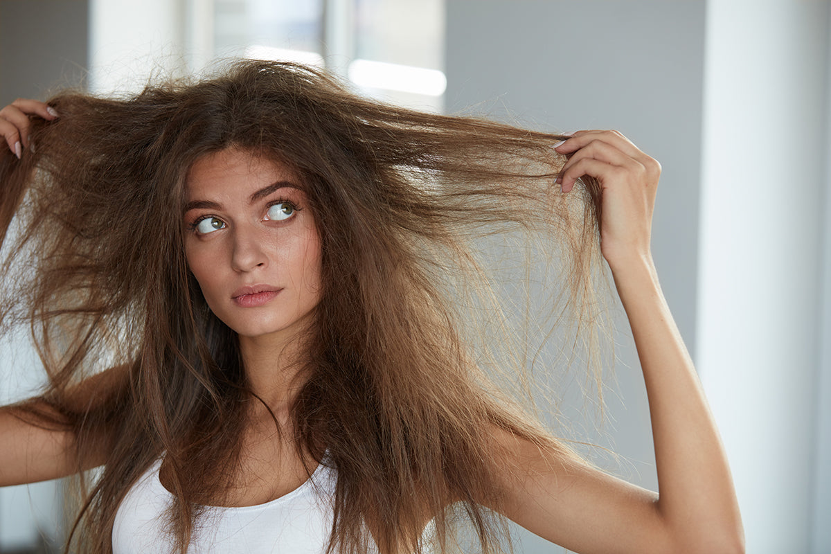 The Art of Brushing