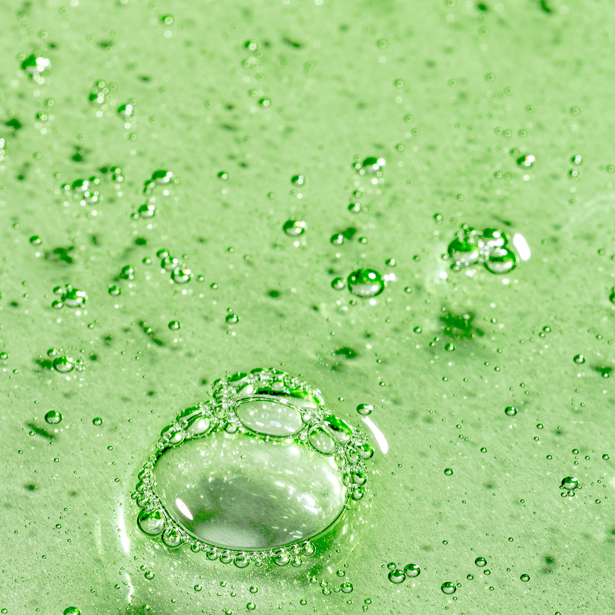 Peppermint Avocado Shampoo 35th Anniversary Limited Edition